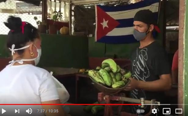 sancti spiritus, produccion de alimentos, agricultura, ganaderia, covid-19, juegos olimpicos, noticiero de escambray, periodico escambray