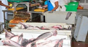 sancti spiritus, indistria alimentaria, pesca, primero de mayo, dia internacional de los trabajadores