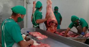 sancti spiritus, carne bovina, ganaderia, managuaco, agricultura