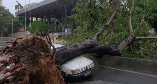 cuba, la habana, tormenta local severa, vientos, lluvias, desastres naturales, insmet