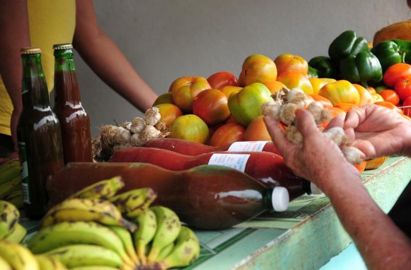 sancti spiritus, ilegalidades, delitos, multas, productos agropecuarios, pnr, policia nacional revolucuionaria, economia cubana