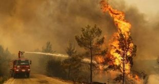 turquia, desastres naturales, incendios forestales