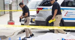 estados unidos, nueva york, muertes, violencia, armas de fuego