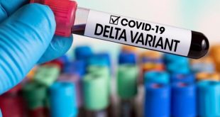 variante delta, coronavirus, covid-19