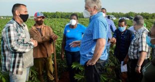 cuba, economia cubana, alimentos, produccion de alimentos, agricultura, miguel diaz-canel, mayabeque