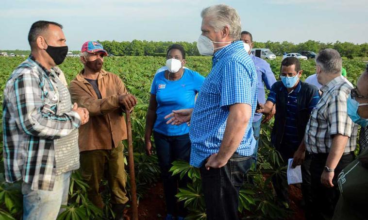 cuba, economia cubana, alimentos, produccion de alimentos, agricultura, miguel diaz-canel, mayabeque