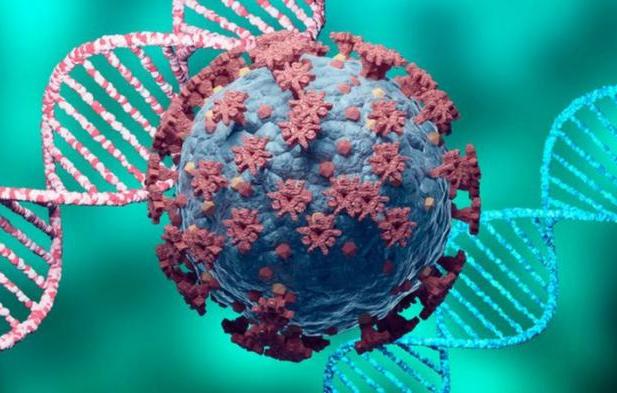 coronavirus, sars-cov-2, oms, lambda