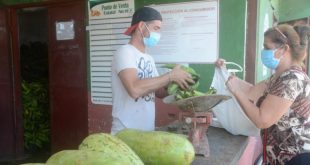 sancti spiritus, agricultura en sancti spiritus, acopio, productos agropecuarios, mercados de nuevo tipo, produccion de alimentos