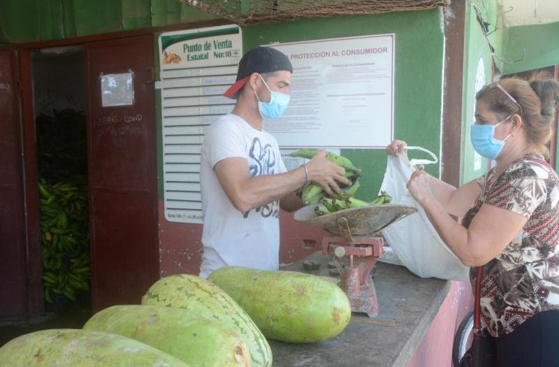 sancti spiritus, agricultura en sancti spiritus, acopio, productos agropecuarios, mercados de nuevo tipo, produccion de alimentos