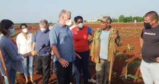 cuba, alimentos, polos productivos, agricultura, miguel diaz-canel, mayabeque