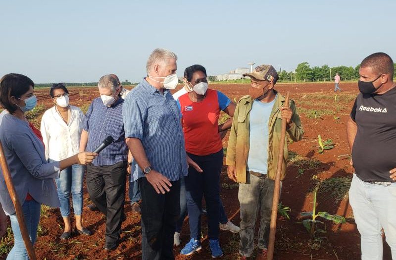 cuba, alimentos, polos productivos, agricultura, miguel diaz-canel, mayabeque