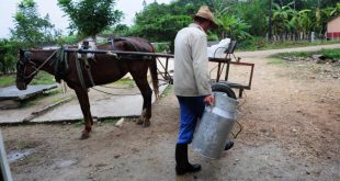 sncti spiritus, covid-19, centros de aislamiento, campesinos, anap, alimentos