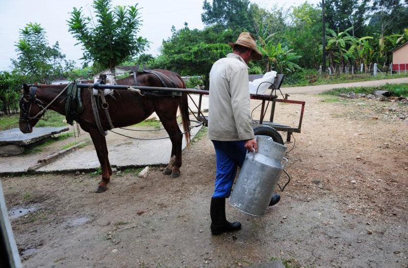 sncti spiritus, covid-19, centros de aislamiento, campesinos, anap, alimentos