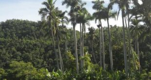 yaguajay, sancti spiritus, areas protegidas, citma, medio ambiente