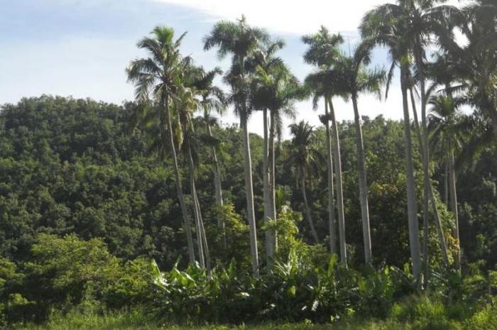 yaguajay, sancti spiritus, areas protegidas, citma, medio ambiente