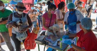 cuba, dia mundial de los animales, bienestar animal