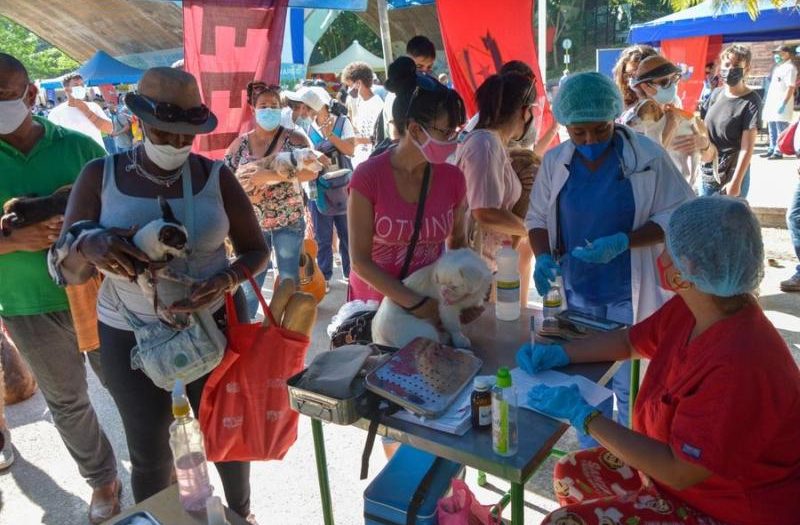 cuba, dia mundial de los animales, bienestar animal