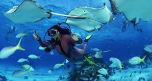 cuba, italia, buceo, turismo cubano, turismo