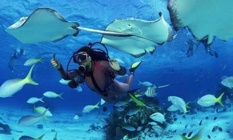 cuba, italia, buceo, turismo cubano, turismo