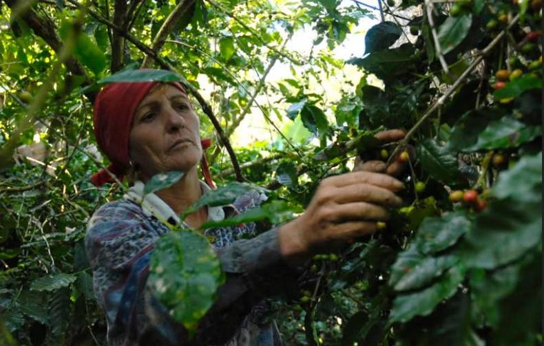 cuba, agricultura, mujer rural, dia de la mujer rural