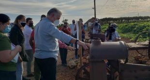 cuba, economia cuba, produccion de alimentos, alimentos, miguel diaz-canel, agroecologia, cultivos varios