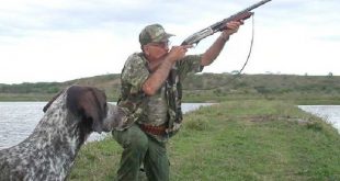 cuba, agricultura, guardabosques, caza deportiva, flora y fauna, empresa integral forestal