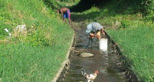 sancti spiritus, via ferrea, ferrocarriles, empresa ferrocarriles centro, indisciplina social