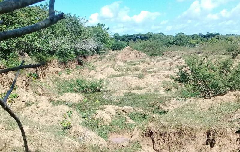 sancti spiritus, agricultura, yacimientos minerales, citma, tierra en usufructo