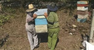 sancti spiritus, apicultura, miel, empresa apicola, planta de beneficio de la miel