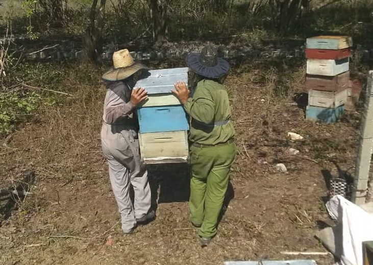 sancti spiritus, apicultura, miel, empresa apicola, planta de beneficio de la miel