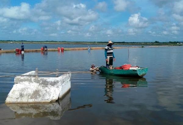 sancti spiritus, cultizaza, camaronera, exportaciones, tunas de zaza