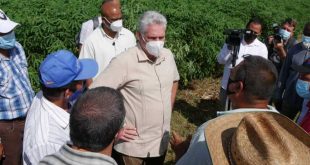 holguin, miguel diaz-canel, alimentos, produccion de alimentos