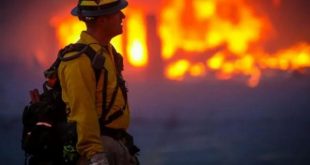 estados unidos, incendios forestales, bomberos, muertes, desastres naturales