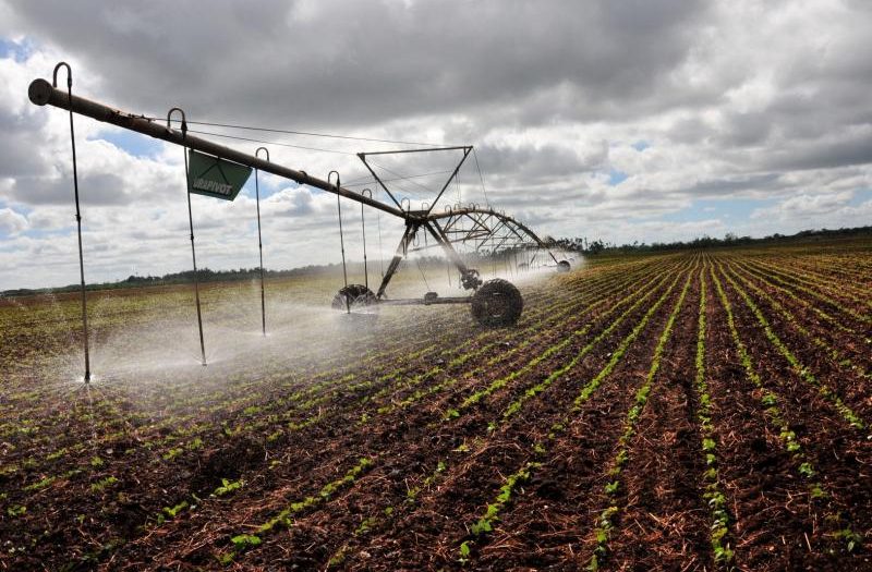 sancti spiritus, produccion de alimentos, sistemas de riego, agricultura sncti spiritus