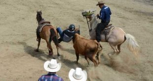 sancti spiritus, rodeo cubano, parque de ferias delio luna echemendia