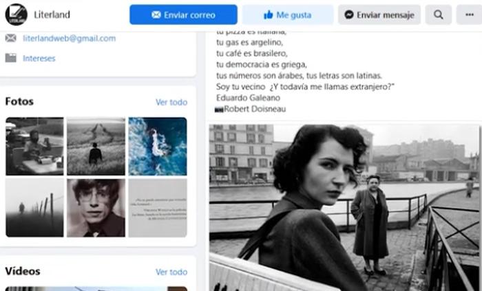 redes sociales, literatura, facebook