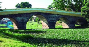 sancti spiritus, rio yayabo, puente sobre el rio yayabo, vegetacion, flora