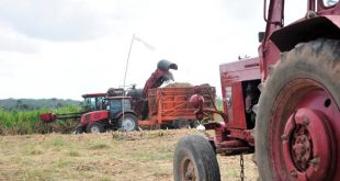 sancti spiritus, zafra azucarera, azcuba, melanio hernandez, central uruguay