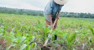 sancti spiritus, ciencia e innovacion, cigb, buro provincial del partido, economia espirituana