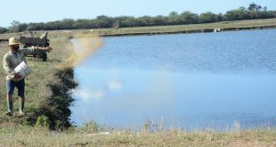 sancti spiritus, la sierpe, estacion de alevinaje de la sierpe, pescaspir, acuicultura, pesca