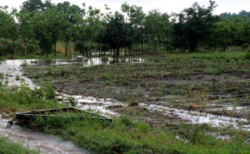 cabaiguan, lluvias, lluvias intensas, agricultura, lluvias intensas en sancti spiritus, agricultura sancti spiritus