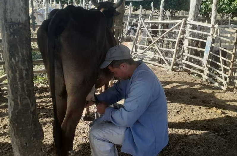 sancti spiritus, produccion de alimentos, sector agropecuario, jovenes espirituanos