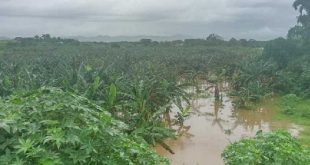 sancti spiritus, trinidad, intensas lluvias en sancti spiritus, lluvias en sancti spiritus, agricultura sancti spiritus