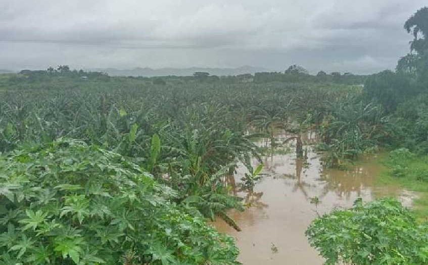 sancti spiritus, trinidad, intensas lluvias en sancti spiritus, lluvias en sancti spiritus, agricultura sancti spiritus