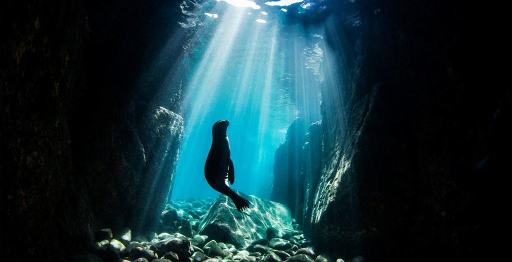 onu, medio ambiente, oceanos, contaminacion ambiental