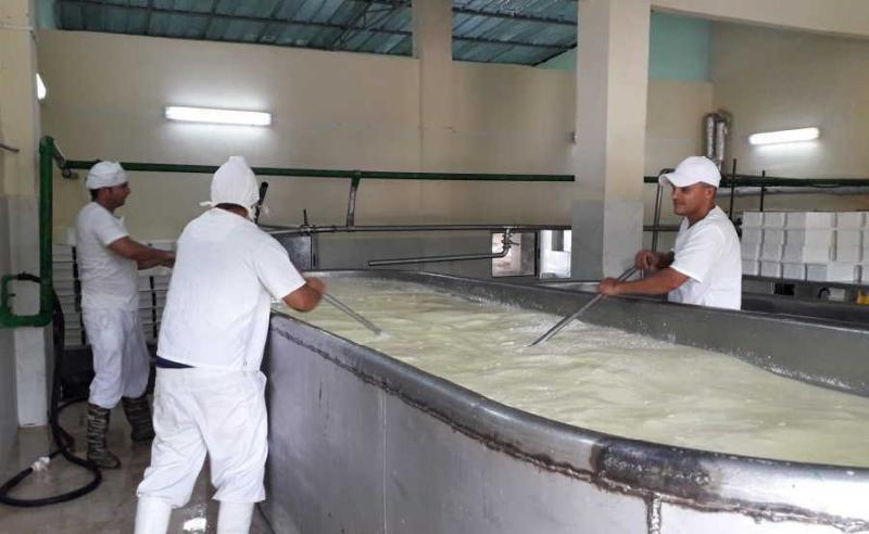 yaguajay, fabrica de quesos merida, proiductos lacteos
