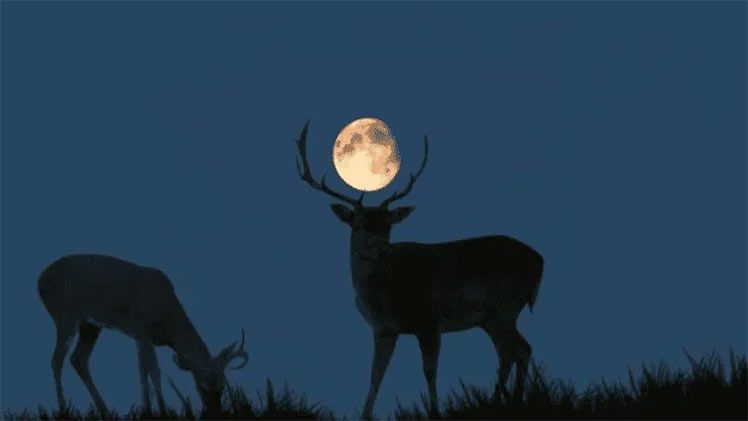 superluna, astronomia, planeta tierra