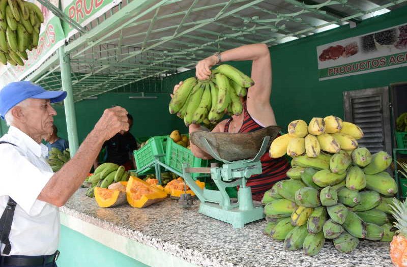 sancti spiritus, 26 de julio, desarrollo local, autoabastecimiento territorial, economia espirituana