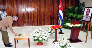 cuba, far, fuerzas armadas revolucionarias, raul castro, homenaje, diaz-canel