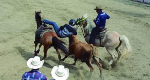 sancti spiritus, etapa estival, fiestas veraniegas, cultura espirituana, rodeo, feria agropecuaria